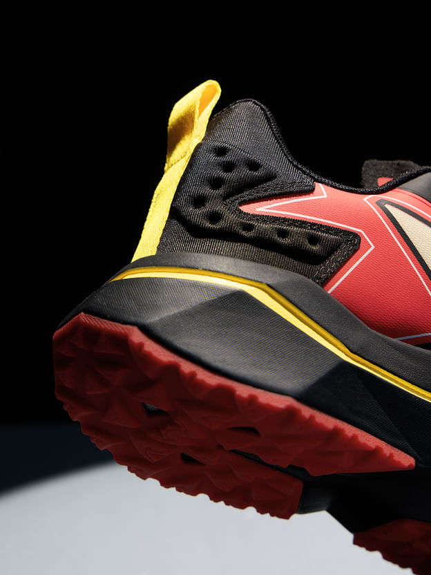 Raptors 27 - Image 4