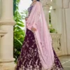 Luxury Burgundy Organza Bridal Lehenga Choli with Baby Pink Dupatta